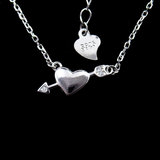 Silver Heart Shaped Zircon Necklace