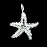 Silver Starfish Shaped Zircon Pendant
