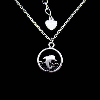 Silver Round Enamel Necklace