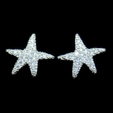 Silver Starfish Shaped Zircon Ear Stubs